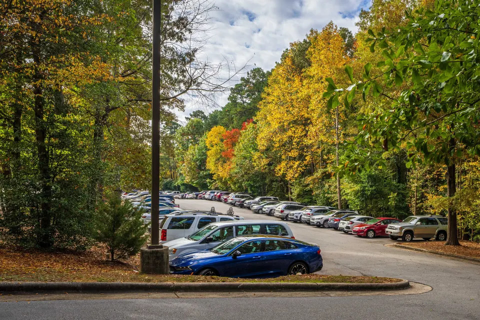 Local Landmarks and Attractions in University, FL in University